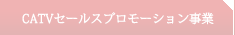 通信インフラ事業について